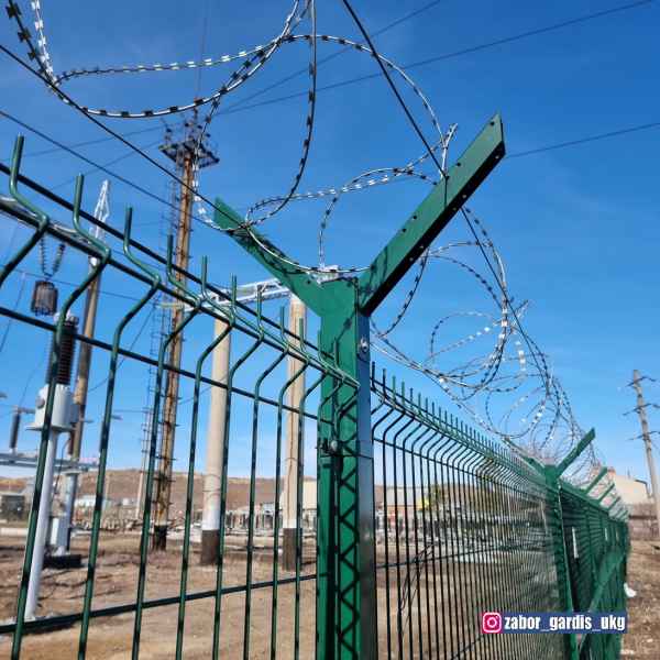 Купить Егозу в Оскемене, цена, размеры, описание